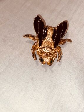 Gold and Black Insect Brooch for Reptile Enclosures with beautiful GrRhinestone